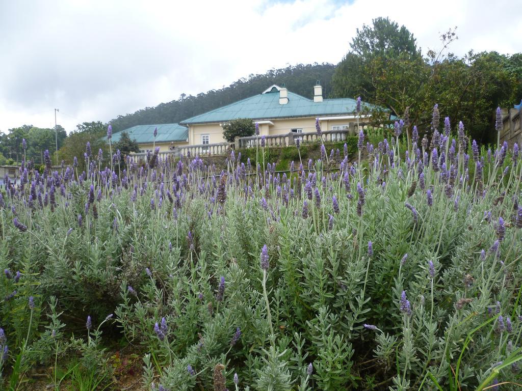 Senani Colonial Holiday Bungalow Nuwara Eliya Cameră foto